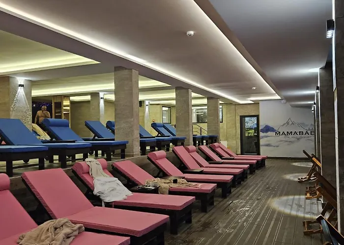 Ivkovic Spa Milmari N16