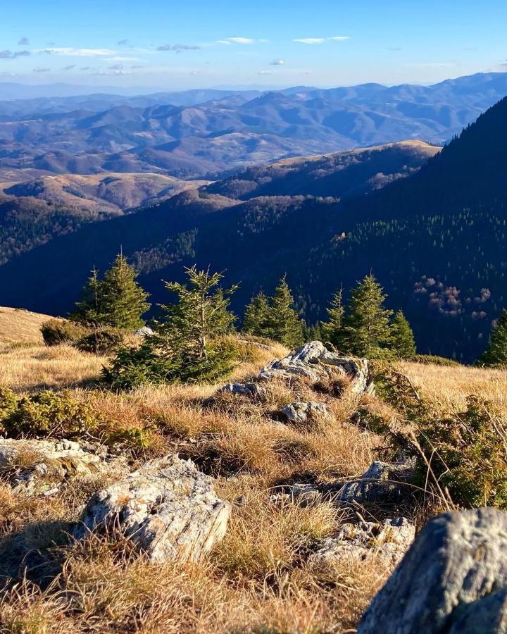 Ivkovic Milmari N16 * Kopaonik